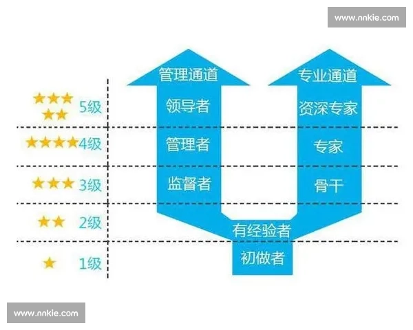 职场晋升路径与技能提升策略全解析 职场晋升路径与技能提升策略全解析